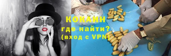 СК Алексин