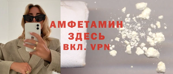 СК Алексин