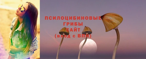 мяу мяу мука Алексеевка