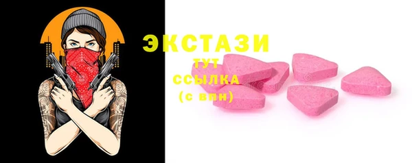 СК Алексин