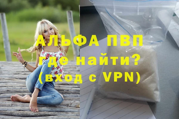 СК Алексин