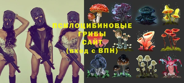 мяу мяу мука Алексеевка